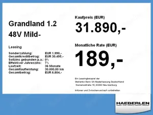 Opel Grandland 1.2 48V Mild- W Edition PDC*KAM*WINTER Bild 4