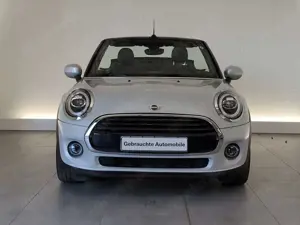 MINI Cooper Cabrio Bild 2