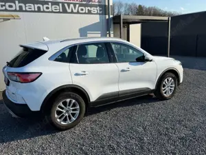 Ford Kuga Bild 3