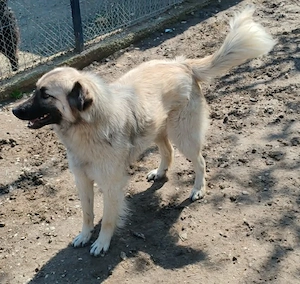 Traumjunge  Kojo    ist auf der Suche nach seinem Glück