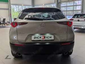 Mazda CX-30 2.0L e-SKYACTIVE-X Homura HUD Cam ACC 18" Bild 4