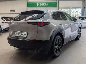 Mazda CX-30 2.0L e-SKYACTIVE-X Homura HUD Cam ACC 18" Bild 5