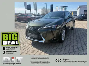 Lexus UX 250h AWD Luxury Line HUD, Schiebedach, Kamera