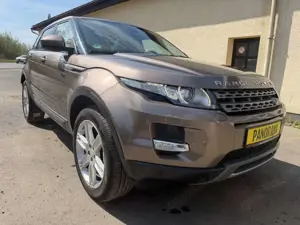 Land Rover Range Rover Evoque Pure Technik *AUTO**PANORAMA*
