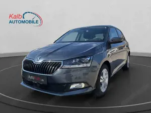 Skoda Fabia FABIA 1.0TSI STYLE+RFK+SHZ+LED+TEMPOMAT