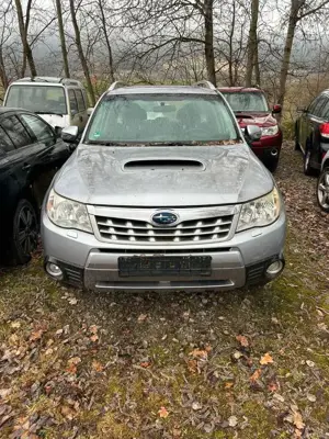 Subaru Forester Edition - Motor defekt