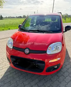 Fiat Panda Panda 1.2 Pop
