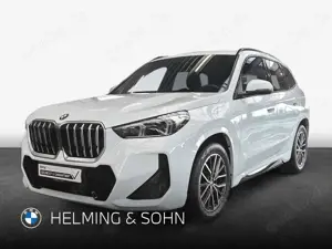BMW X1 sDrive20d M-Sport DAB LED AHK RFK Shz. uvm.