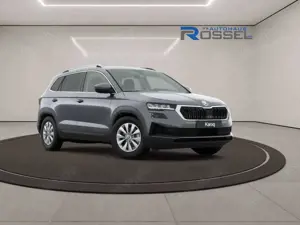Skoda Karoq 2.0 TDI DSG Selection Pro AHK Elek. Heckklappe RFK