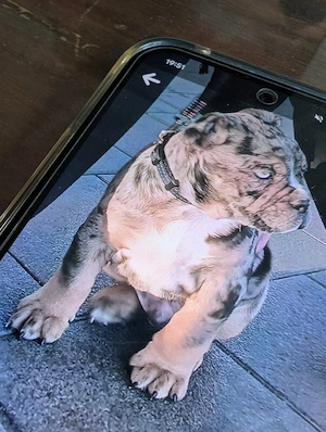 Vorsicht Betrug !!!!!