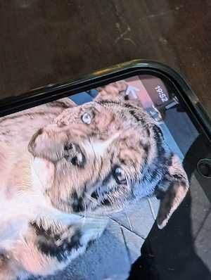 Vorsicht   Betrüger  