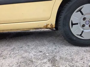 Fiat New Panda Bild 5