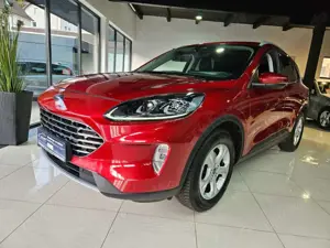 Ford Kuga Titanium X,Kamera,LED,Navi,Scheckheft,,