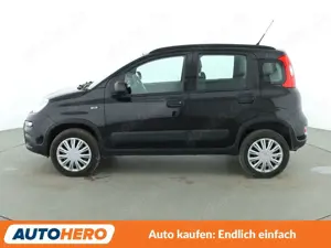 Fiat Panda Bild 3