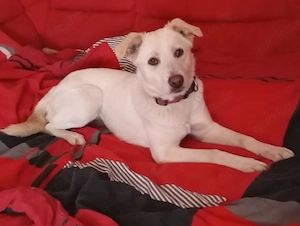 Chanel wartet auf deinen Besuch   