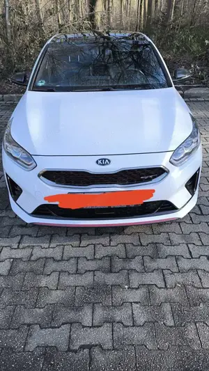 Kia ProCeed / pro_cee'd 1.6 T-GDI DCT7 OPF GT Bild 3