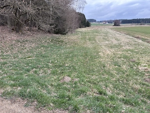 ca. 1,5ha landwirtschaftliche Grünfläche zu verkaufen