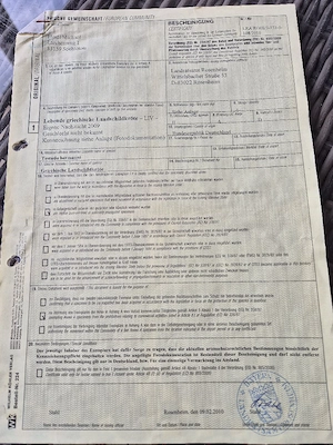 Griechische Landschildkröte NZ 2009 Bild 3
