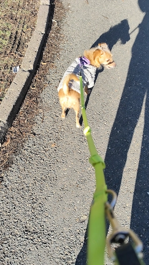 Suche für eine Beziehung. 