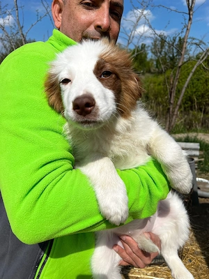 Zora sucht ihr Zuhause