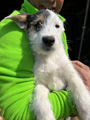 Coco sucht ihr neues Zuhause!