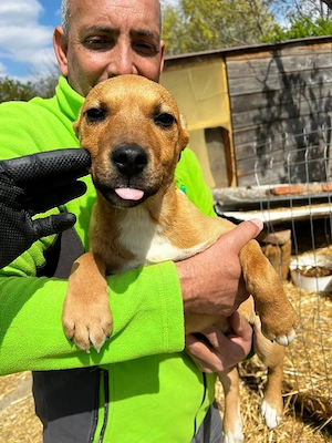 Mocca sucht sein warmes Körbchen 