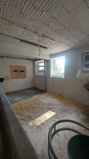 stallplatz frei ab sofort 