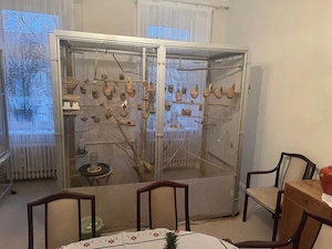 Liebevolles Zuhause für kleine Vögel gesucht? Ich nehme sie kostenlos auf