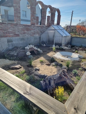  Auffangstation Griechische Landschildkröten  Geckos, Chamäleons