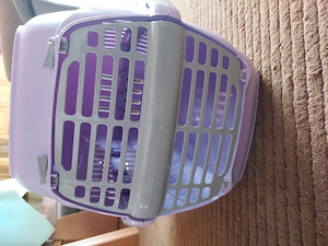 Fit + FUN Transportbox 50x32x31cm lila Bild 2