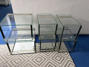 Terrarien für Vogelspinnen