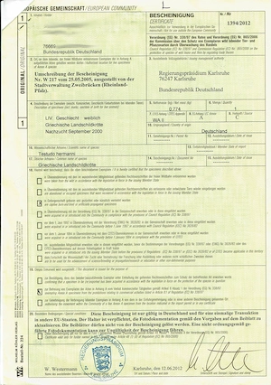 25 Jahre alte griechische Landschildkröte Testudo hermanni Boettgerie zu verkaufen