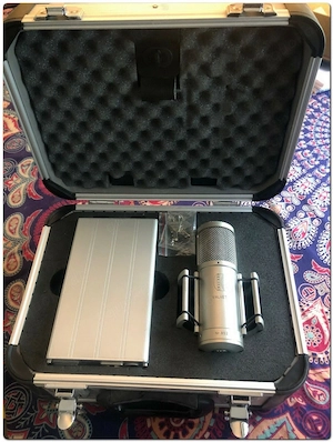 Brauner Velvet Röhrenmikrofon