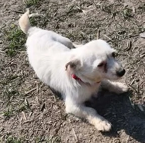 Blanca - hast du ein Körbchen für sie frei?