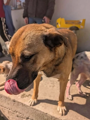 Gloria - ist sie deine Begleiterin fürs Leben?