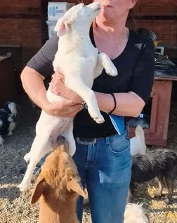 Die kleine Nela sucht ein liebevolles Zuhause für immer Bild 8