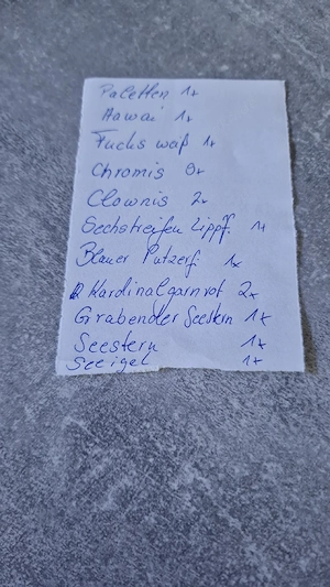 Meerwasserbeckauflösung Bild 3