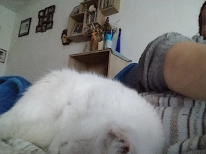 Umständen halber abzugeben