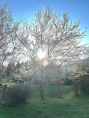 Love Is In The Air. Millionär möchte mit dir durch das Leben tanzen