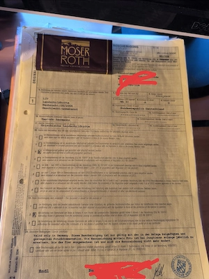 Aufnahme Schildkröten 