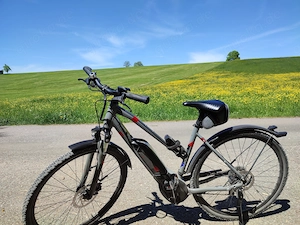 Pegasus Trekking Cross Damen E-Bike 