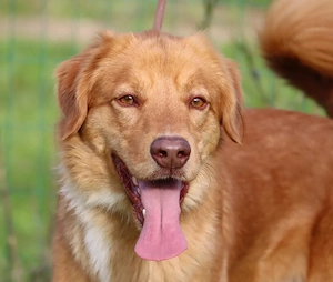 Barro - voller Leben und Herzenswärme