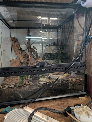 Exo Terra Terrarium 45x45x45