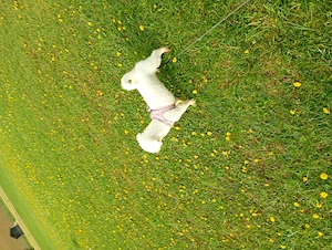 Süßes Mädchen 3 Jahre alt