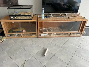 Verschiedene terrrariums 