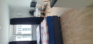 Möblierte 1 Zimmerwohnung auch für Kurzzeitmieter, Monteure, Studenten, frisch getrennt lebende....