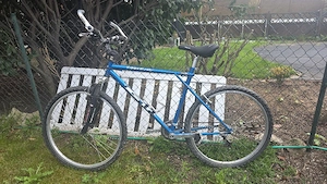 GT Timberline Herren Mountainbike