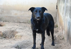 Michela sucht ihr ZUhasue