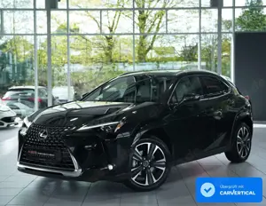 Lexus Others 300 h *4 x 4 *Garantie *360Kam *H-UP *Memory