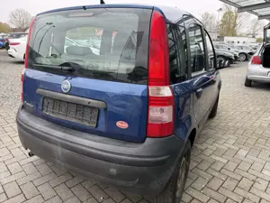 Fiat Panda Bild 4
